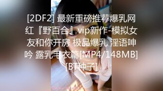 STP27695 御姐范极品颜值女神！外表冷艳玩起来很骚！性感渔网袜，翘起美臀掰穴，手指猛扣全是淫水