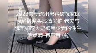 P站20万粉华裔网黄「北京瑶瑶」「Lonelymeow」OF旅游性爱日记 3P百合爆菊潮吹露出【第三弹】 (1)