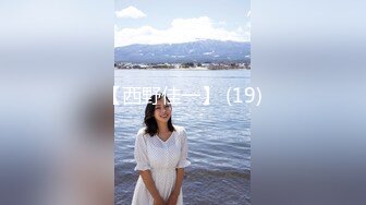 【西野佳一】 (19)