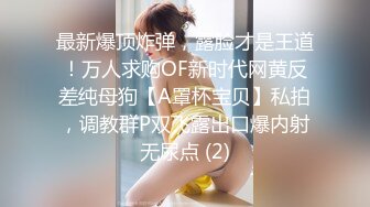 最新性奴『依依』淫荡母狗终极调教_女神人妻跪下即为调教奴_跪舔+鞭打+淫字+虐操