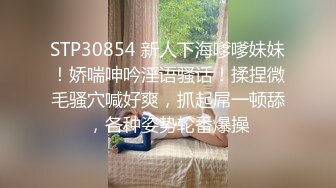 OnlyFans顶级女神中国兔兔Chinesebunny  千面御姐反差母狗资源珍藏版 让你一次性撸个痛快