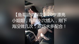 车震，口交，时间不长