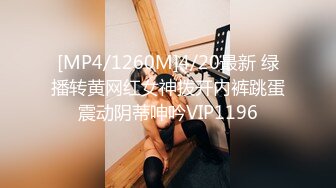 [MP4/1260M]4/20最新 绿播转黄网红女神拨开内裤跳蛋震动阴蒂呻吟VIP1196