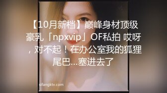 【10月新档】巅峰身材顶级豪乳「npxvip」OF私拍 哎呀，对不起！在办公室我的狐狸尾巴…塞进去了