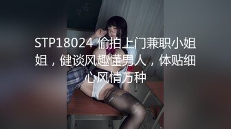 【新片速遞】2022-11-4【瘦子探花梦幻馆】老相好良家眼镜妹，激情不断再干一炮，跪地上淫荡舔屌，沙发上猛操不尽兴继续[481MB/MP4/01:13:04]