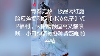 [MP4]麻豆传媒- 换妻游戏 微醺魅惑 伴侣置换 麻豆女神苏清歌