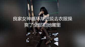 主动的小狗狗