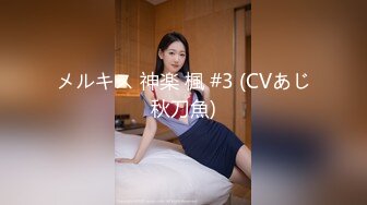 欧洲Kink站fuckedandbound捆绑狠肏系列2013年上半年作品合集【25V】 (15)