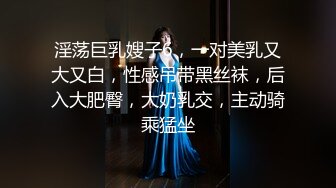 淫荡巨乳嫂子6，一对美乳又大又白，性感吊带黑丝袜，后入大肥臀，大奶乳交，主动骑乘猛坐