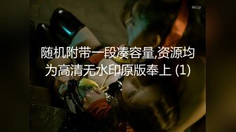 随机附带一段凑容量,资源均为高清无水印原版奉上 (1)