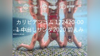 カリビアンコム 122420-001 中出しサンタ2020 碧えみ