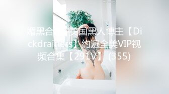 几年前的极品女友2