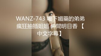 WANZ-743 喝下媚藥的弟弟瘋狂抽插姐姐 仲間明日香 【中文字幕】