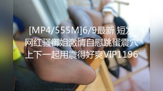 【自整理】P站Marinasixx 寂寞少妇在家的自我疯狂  最新大合集【225V】 (99)