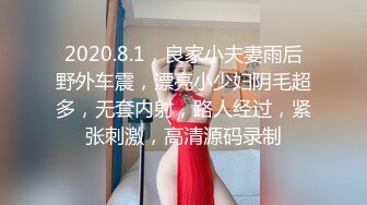 清秀欲女诱惑女仆装无套啪啪