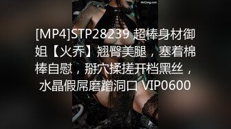 [MP4]STP32127 麻豆传媒 MD0294 轮操内射黑道姐妹花 宝宝 凌薇 VIP0600