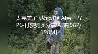 太完美了 满足幻想 AI绘画??P站付费购买分享 AI集[98P/198M]