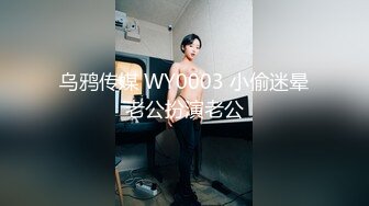 乌鸦传媒 WY0003 小偷迷晕老公扮演老公