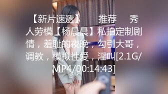 豪乳女神『Diary』淫乱实录 豪乳女友幻身狐尾女仆用蜜穴尽心伺候单男