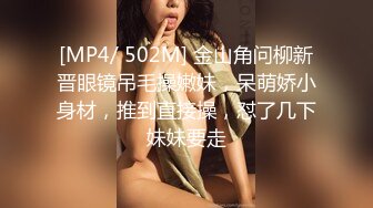 [MP4]3000约极品外围小姐姐，女神模特身材皮肤白皙前凸后翘，沙发掰穴大屌猛男啪啪激战