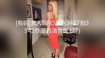 [有码]素人SIRO系列3417到3542作品高清合集,(27)