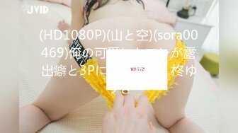 (HD1080P)(山と空)(sora00469)俺の可愛いセフレが露出癖と3Pに目覚めた。柊ゆうき