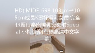 MDX-0096_深夜加班的女友_性感OL客服被玩弄骚穴官网-林思妤