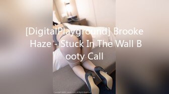 [DigitalPlayground] Brooke Haze - Stuck In The Wall Booty Call